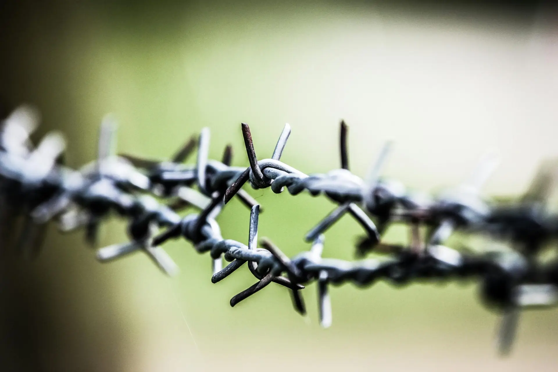 Prison fence